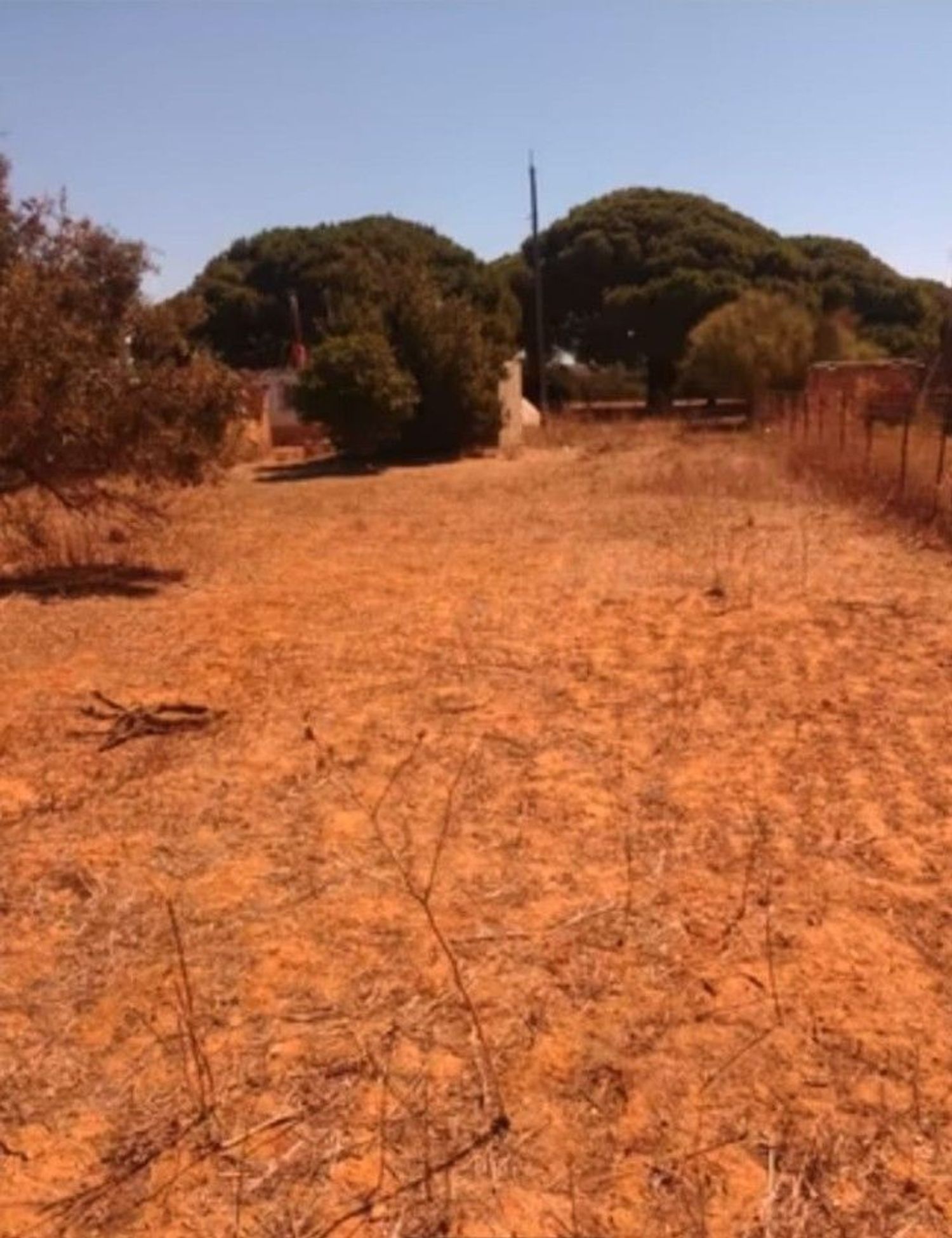 Finca rústica en Ca-3109 s/n - Foto 17