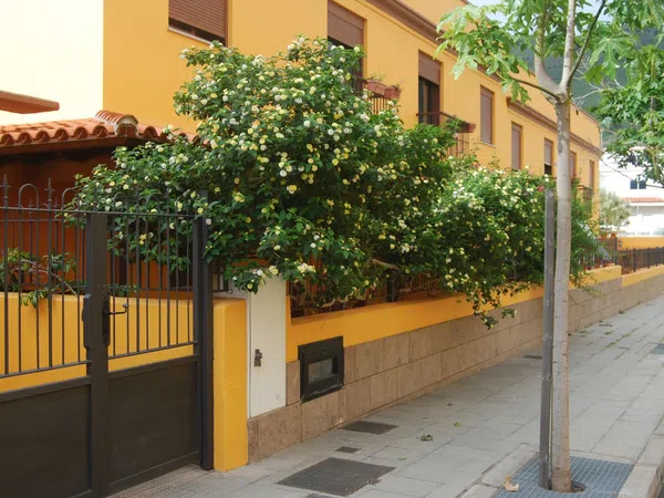Piso en Calle Antonio Santos, 10 - Foto 1