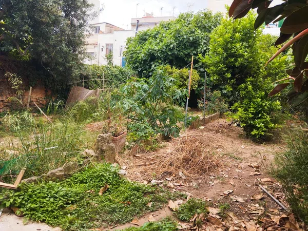 Casa o chalet independiente en Calle Semolera, 40 n, Son Gotleu - Foto 11