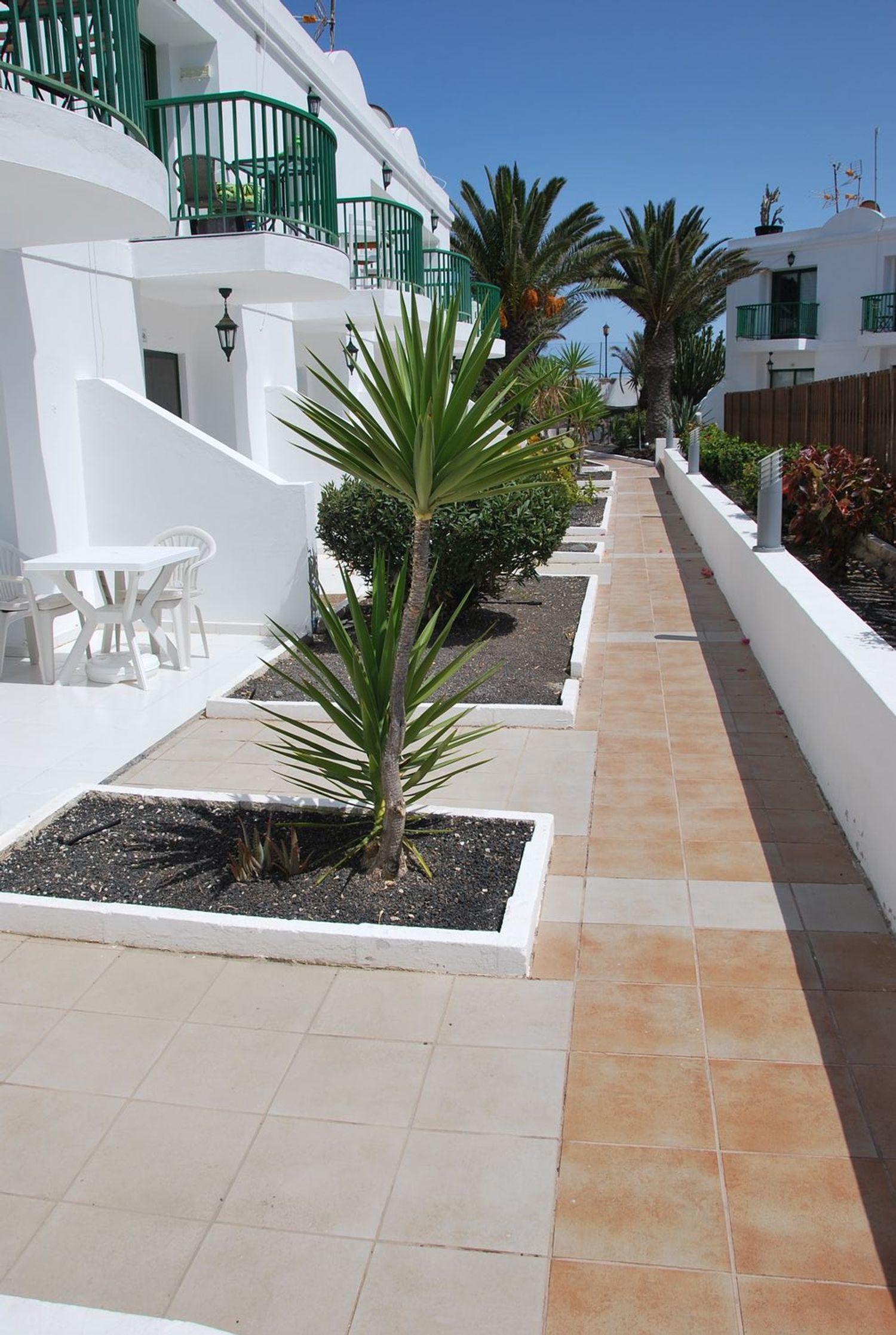 Piso en Avenida Fuerteventura, 33, Corralejo, Corralejo - Foto 12