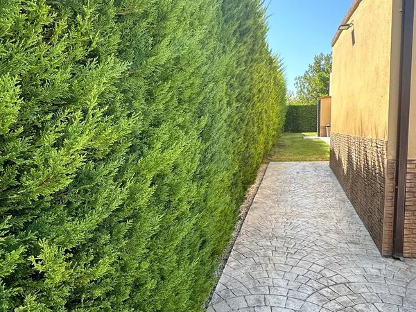 Casa o chalet independiente en Calle Sierra de la Virgen, 3, Augusta Golf - Foto 5