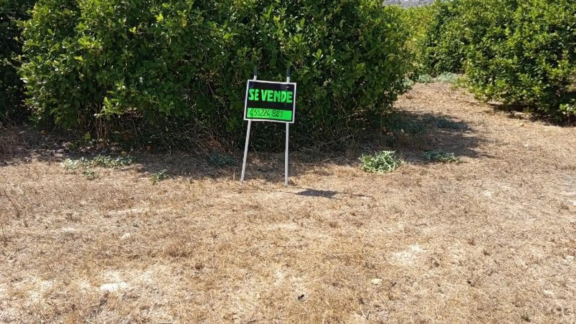 Finca rústica en  Diseminado Chalanas 10 - Foto 1