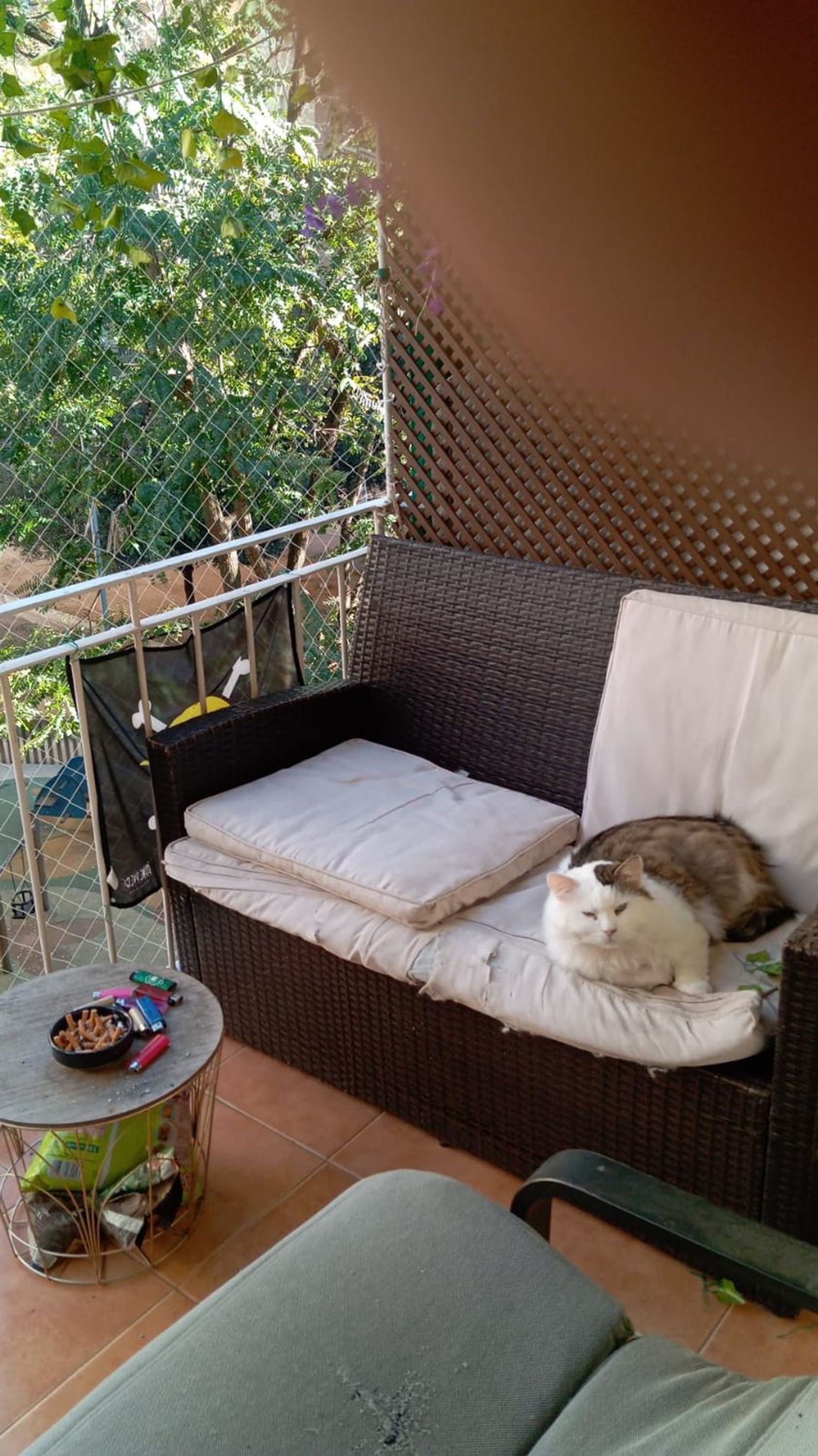 Piso en calle Francesc Layret, 59 - Foto 1