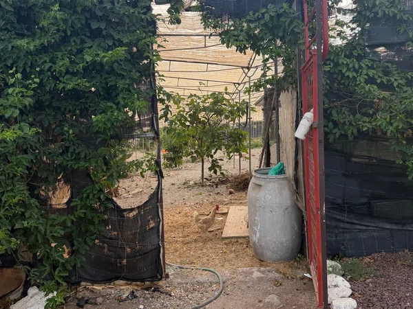 Casa o chalet independiente en Llano blanco, 40, Aldea Blanca-Las Zocas, Aldea Blanca-Las Zocas - Foto 7