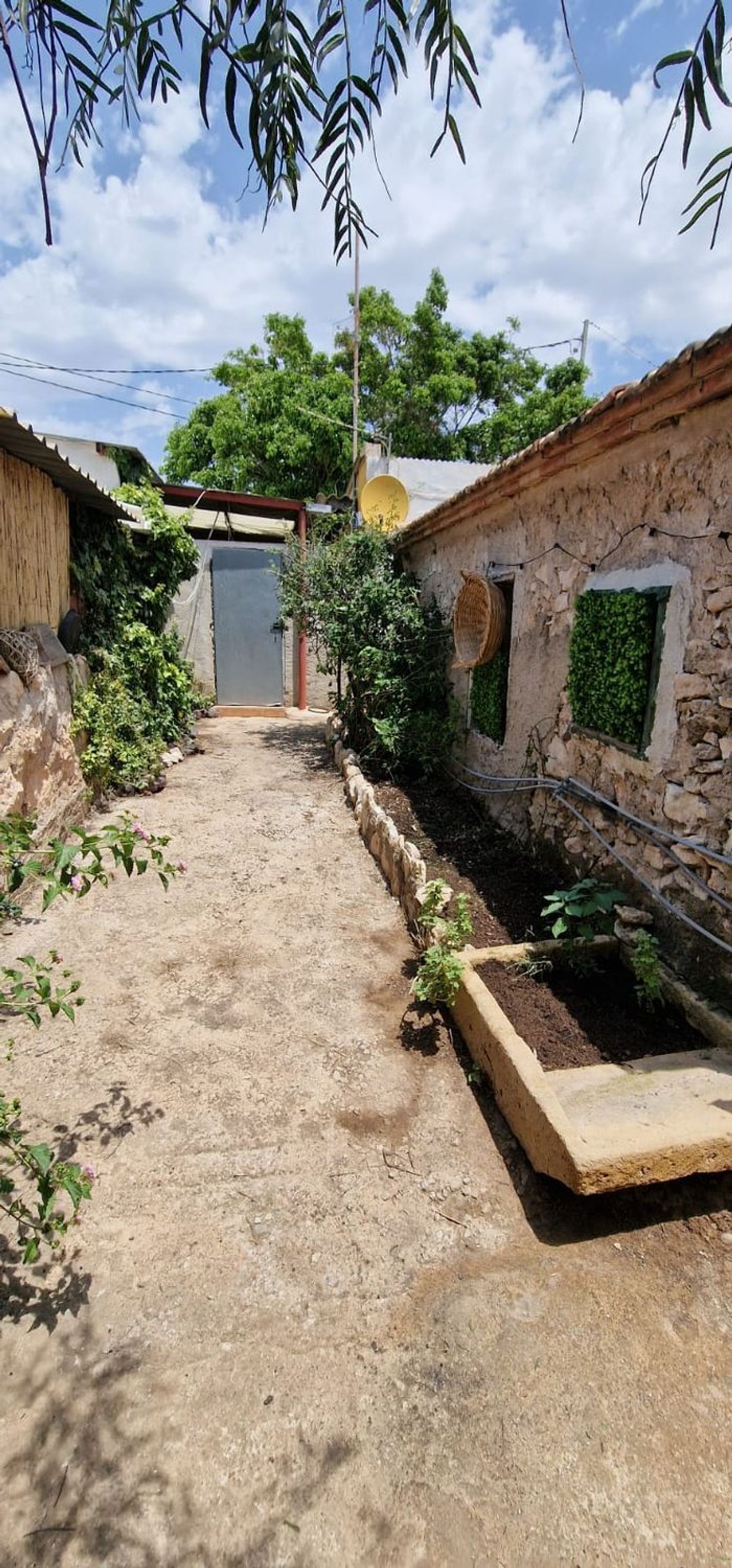 Finca rústica en Paraje Nogueras, 26 - Foto 9