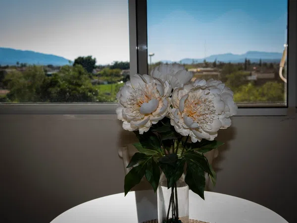 Piso en calle Federico Garcia Lorca, 1 - Foto 3