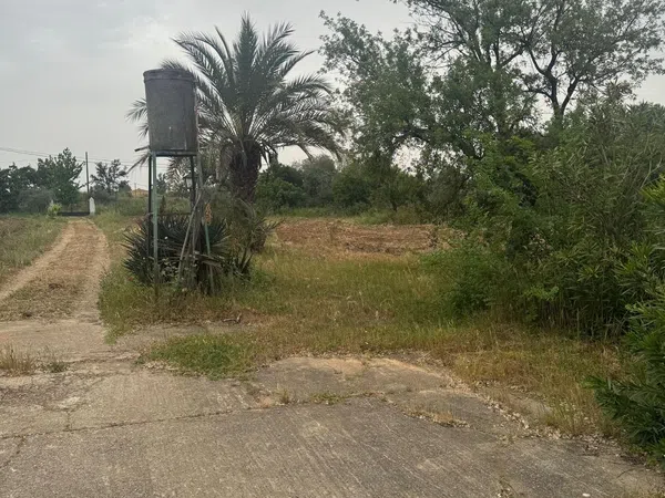 Finca rústica en Finca Pago de los López s/n, Centro - Argentina, Centro - Argentina - Foto 15