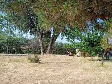 Finca rústica en  Calle la Vega 14 - Foto 7