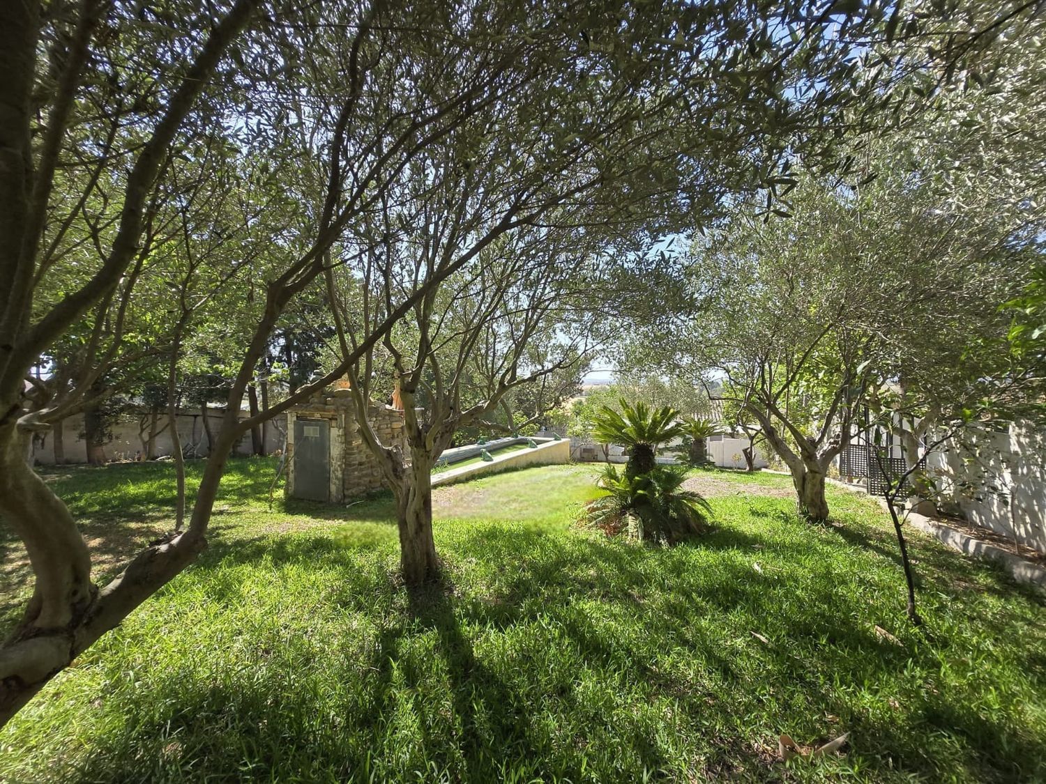 Cortijo en Diseminado Pago Victoria, 207 - Foto 31