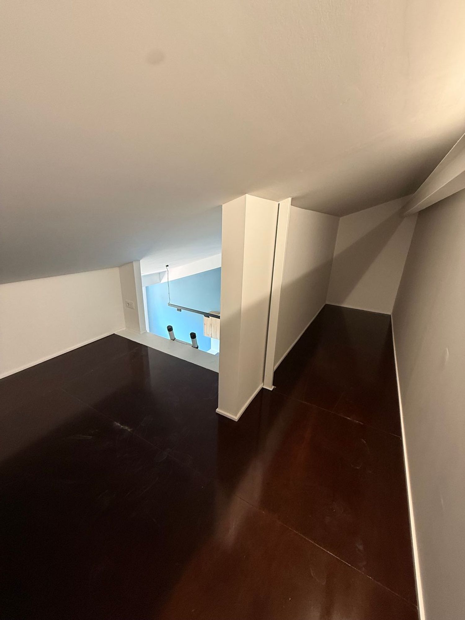 Estudio en avenida Monóvar, 59 -2 - Foto 4