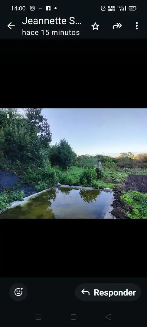 Finca rústica en  Pista La Cancela 97 - Foto 6
