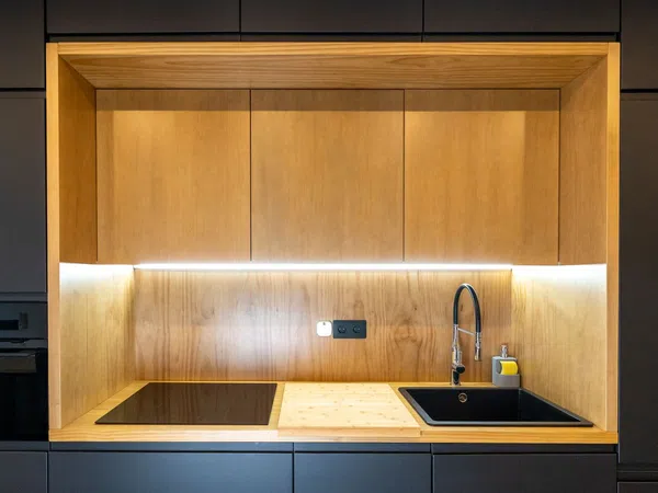 Estudio en Calle José Franchy Roca, 35, Santa Catalina - Canteras - Foto 5