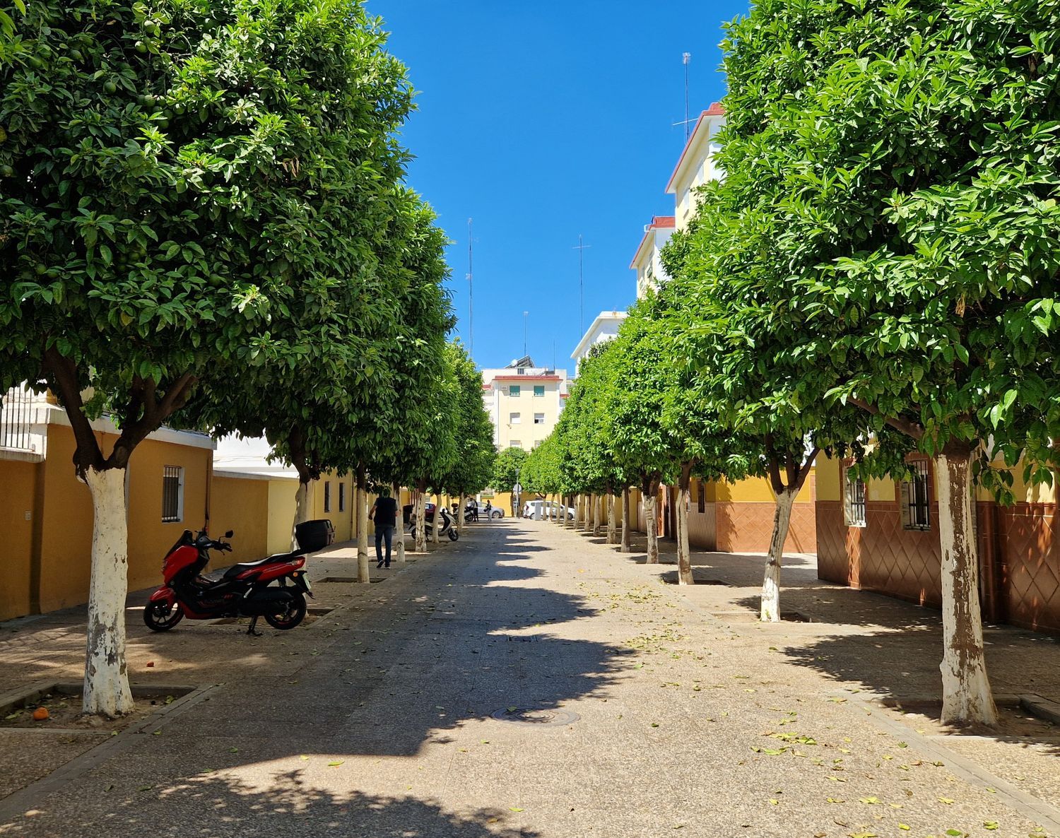 Piso en plaza San Gabriel, 4 - Foto 15