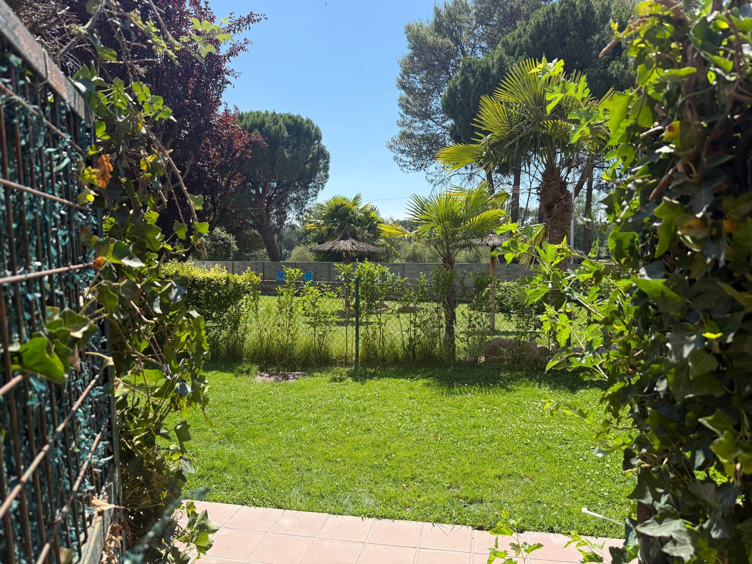 Piso en Calle Guadiana, 115, El Bosque, El Bosque - Foto 6