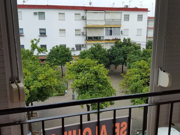 Piso en Calle Geranio, 15, Pio Xii - Foto 3