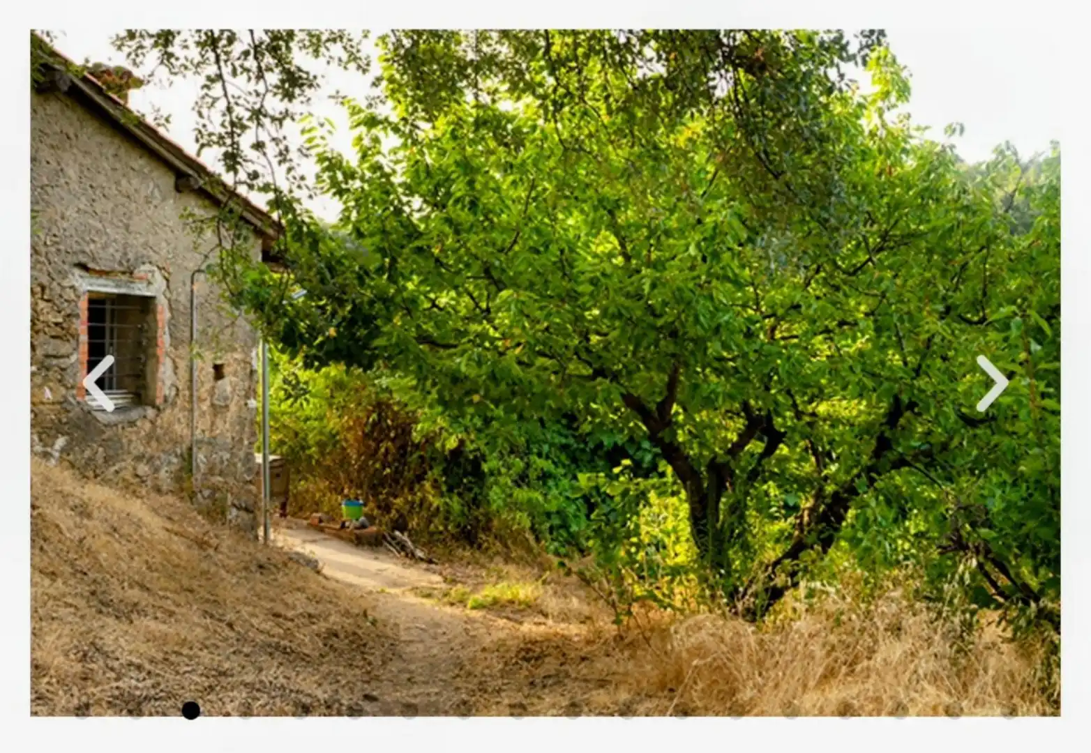 Finca rústica en  Calle Nueva 5 - Foto 4