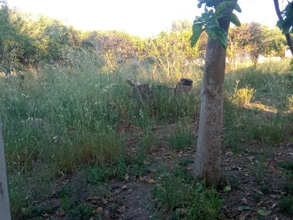 Finca rústica en Ma-3440 s/n, Zona periurbana, Zona periurbana - Foto 13