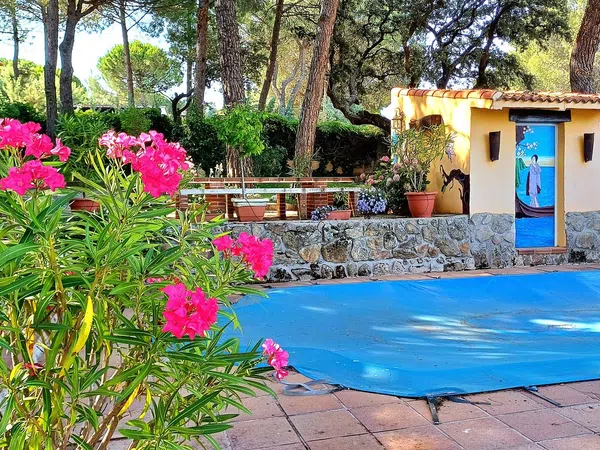 Casa o chalet independiente en Calle Sierra, 9 - Foto 40