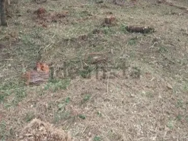 Terreno Residencial en  Avinguda de la Mare de Déu de Lourdes 584 - Foto 2