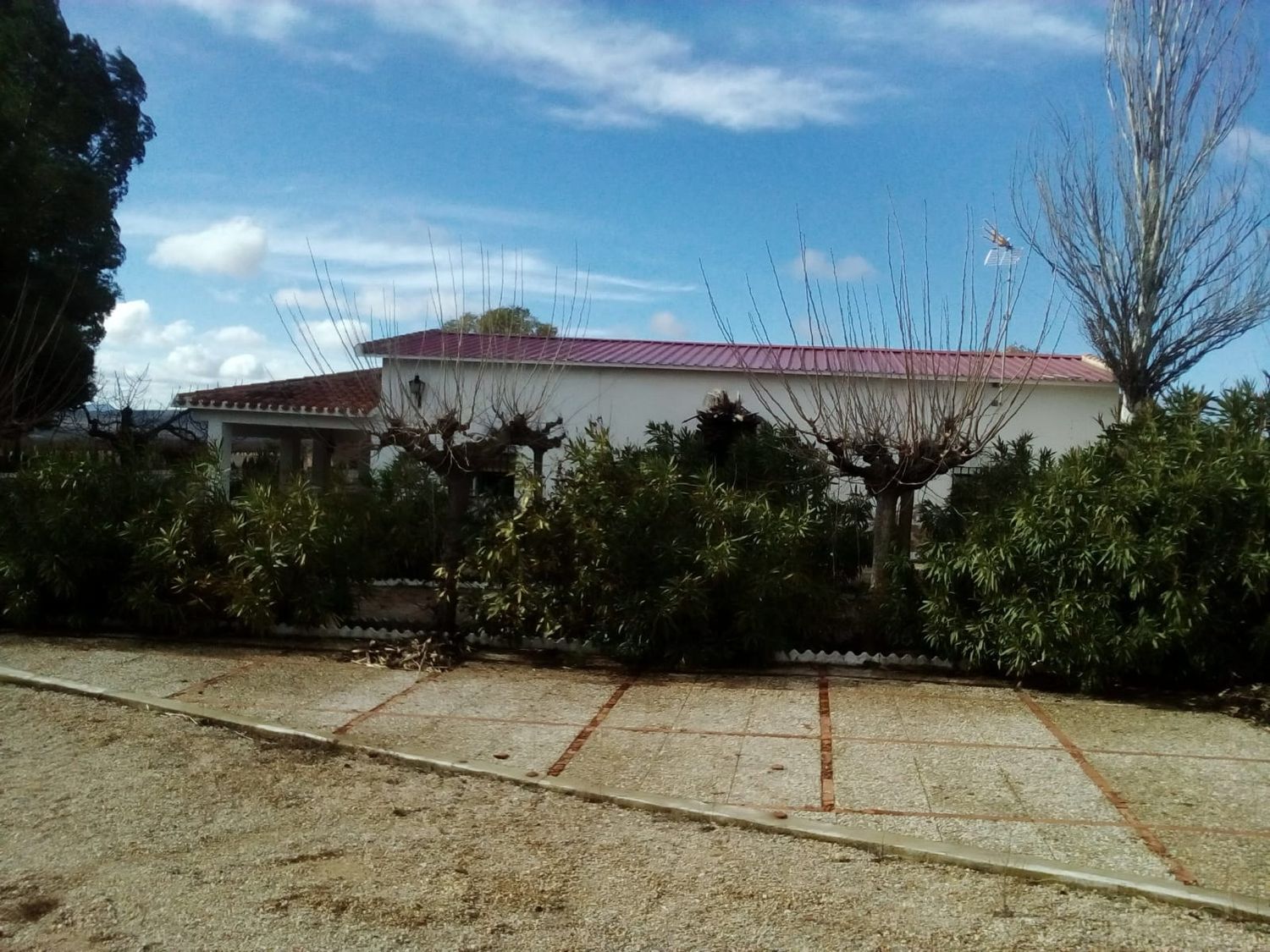 Finca rústica en Rm-a14 s/n - Foto 3