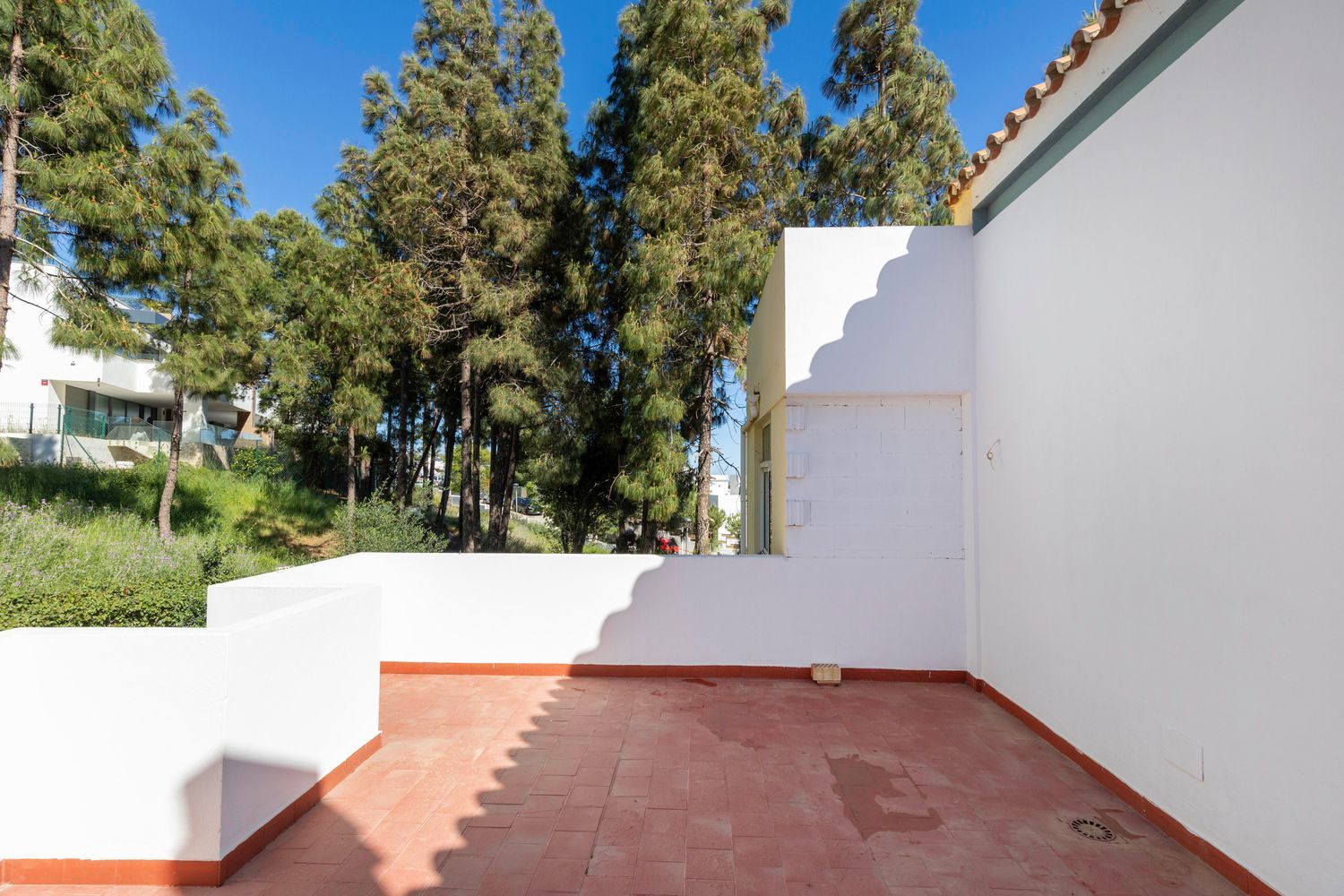 Casa o chalet independiente en Avenida de los Alisos, 19 - Foto 10