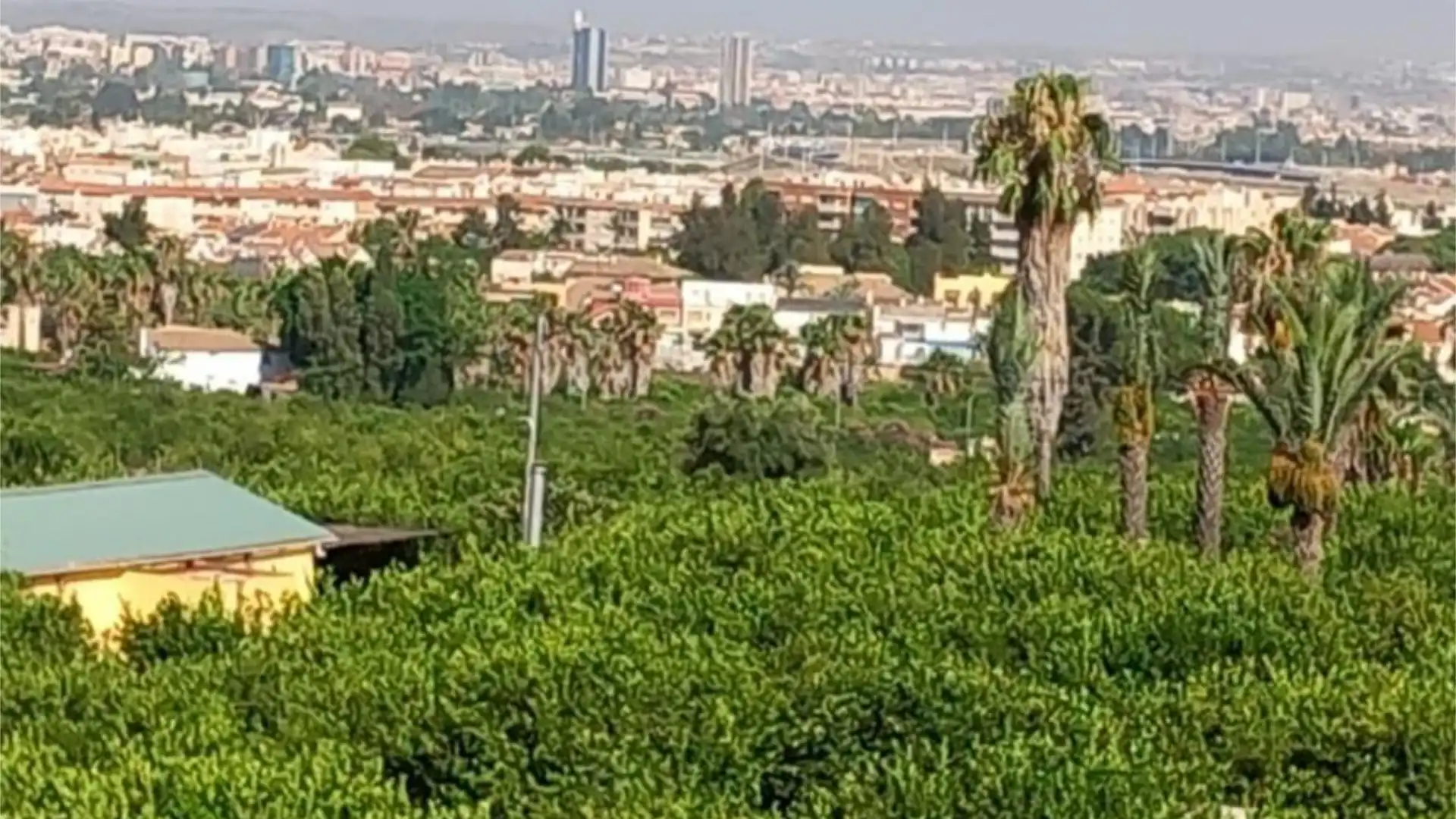 Piso en  Camino de Monteazahar 63 - Foto 7