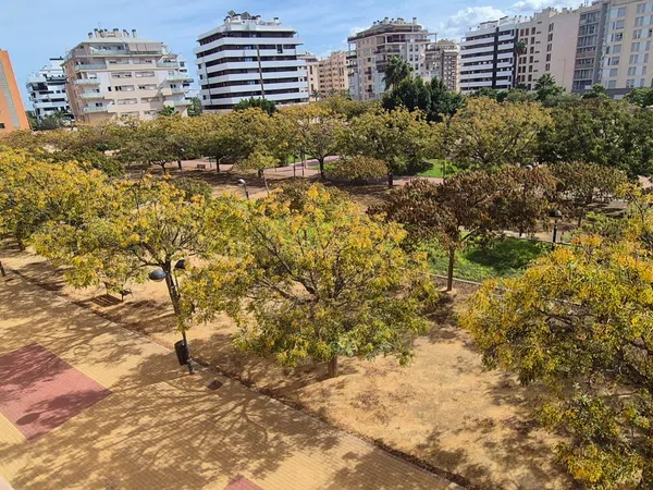 Piso en Calle Río Tus, 11, Zona Juan de Borbón - Foto 1