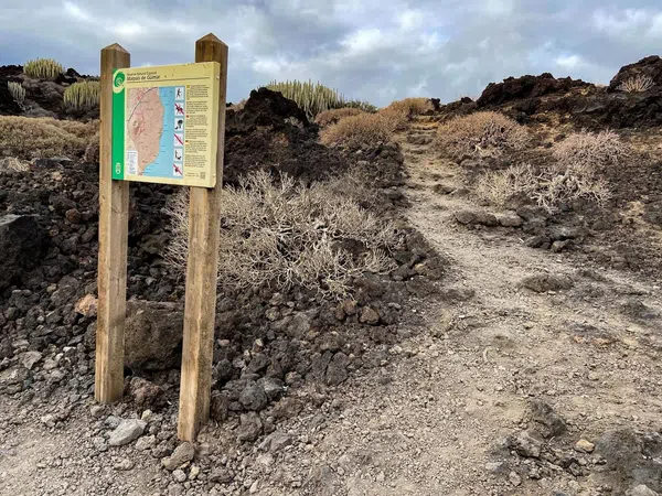 Casa o chalet independiente en Paseo de la Virgen, 4, Puertito de Güímar, Puertito de Güímar - Foto 15