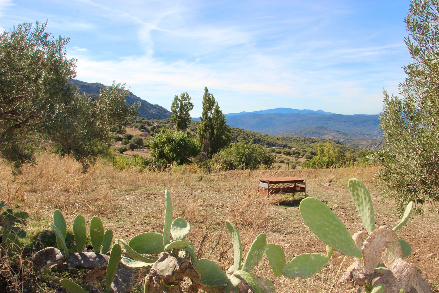 Casa rural en Avenida de Cadiz, 3 - Foto 36