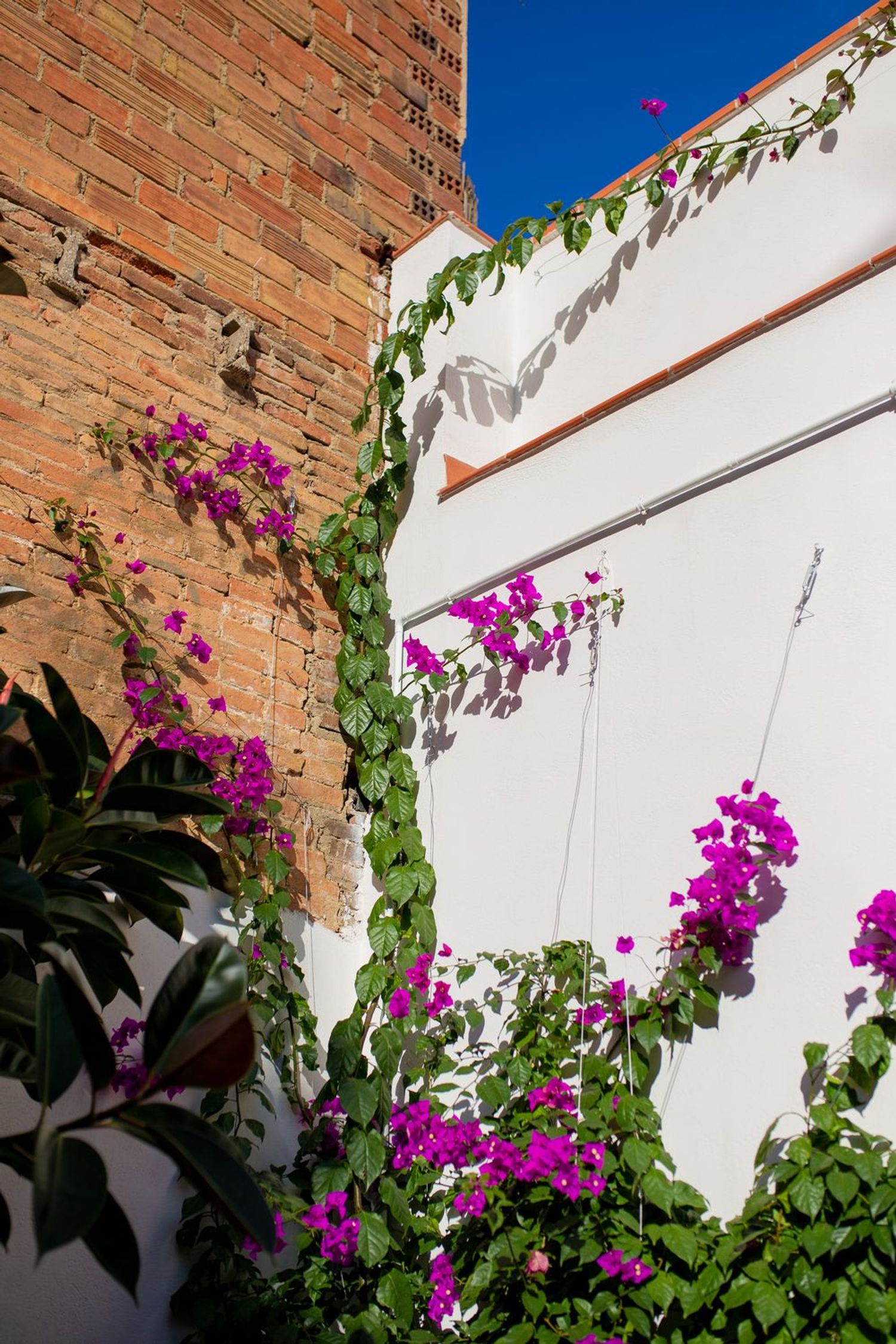 Chalet pareado en calle de la Indústria, 240 - Foto 13