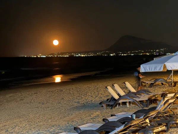 Piso en Camino Assagador del Palmar, 29, El Palmar-Los Molinos - Foto 30