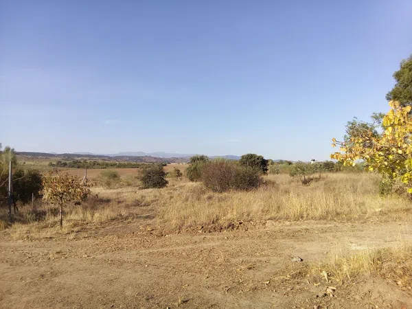 Finca rústica en camino de las laderas, 45 - Foto 17