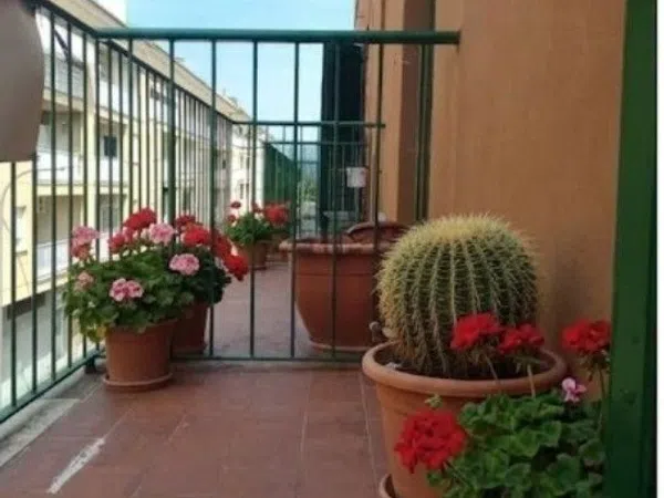 Piso en Calle de Ceres, 1, Rafal Vell - Foto 1