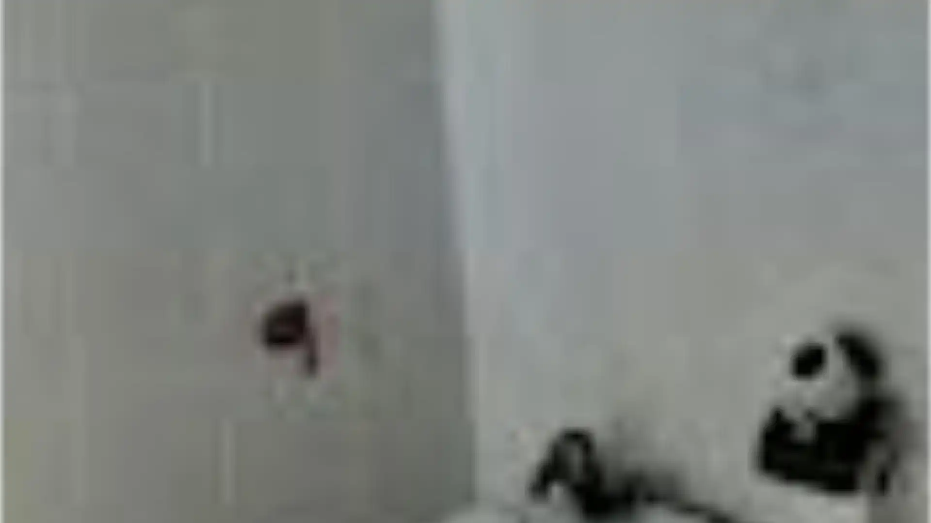 Casa adosada en  Avenida Ingeniero José Luis Prats 1 - Foto 37