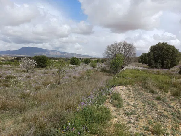 Casa independiente en Sierra de la Pila, 3 - Foto 18