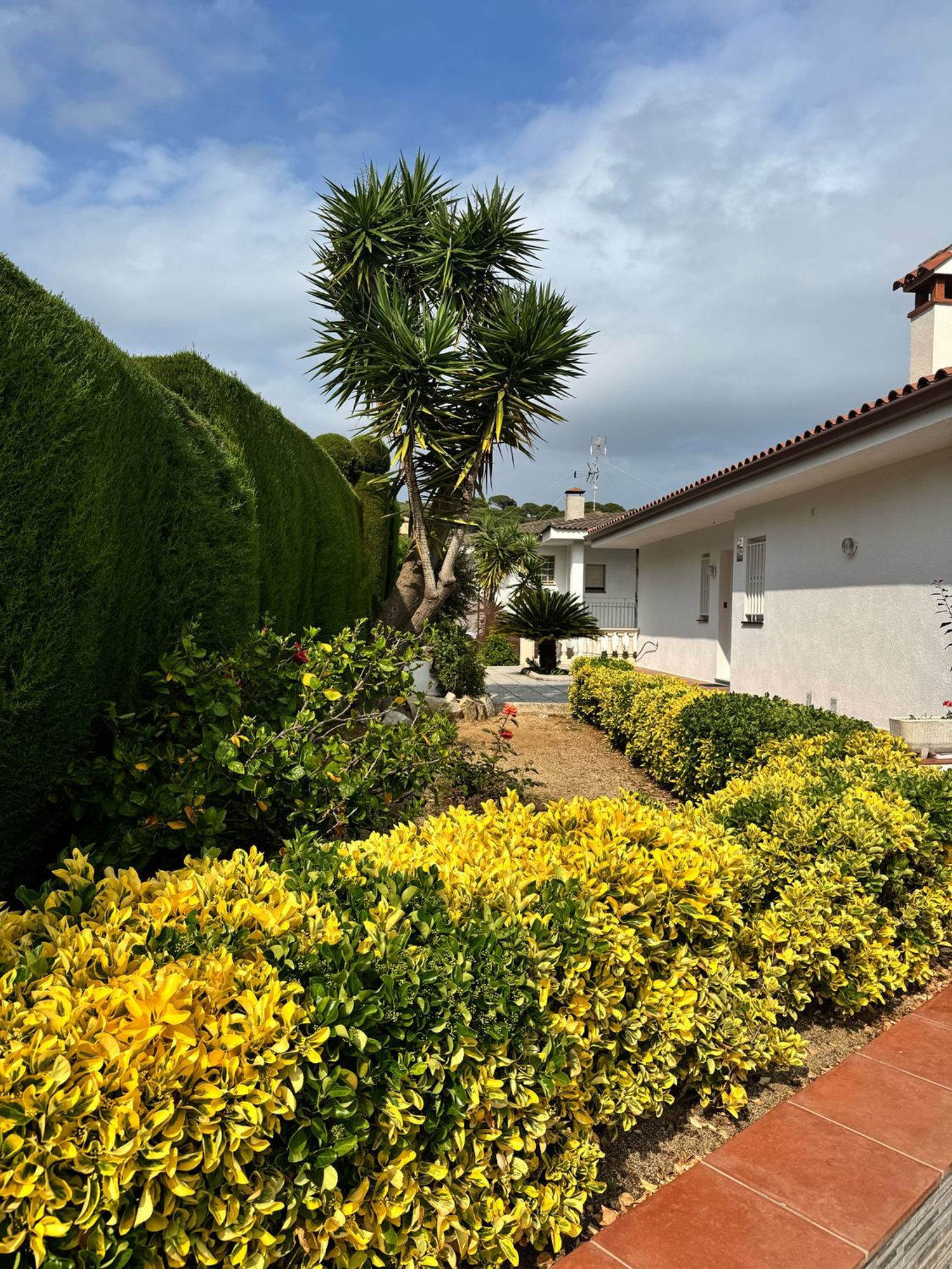 Casa o chalet independiente en Sant Pol de Mar - Foto 9