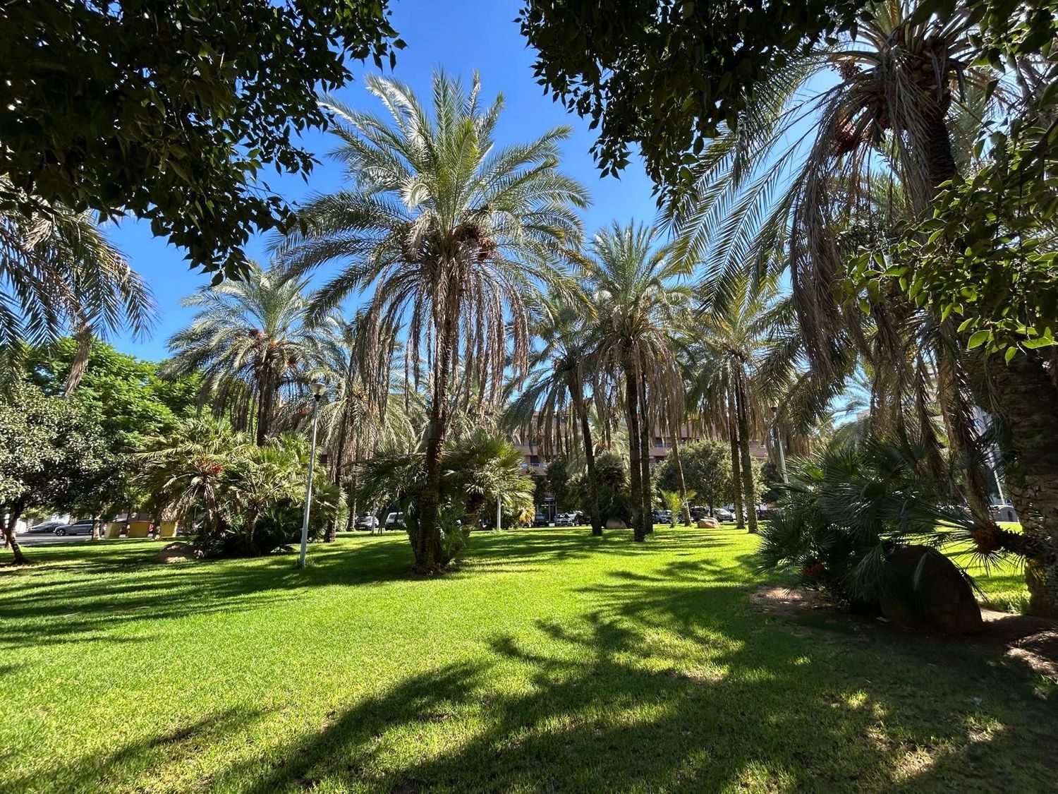 Ático en calle Dolores Ibárruri, 1 p - Foto 14