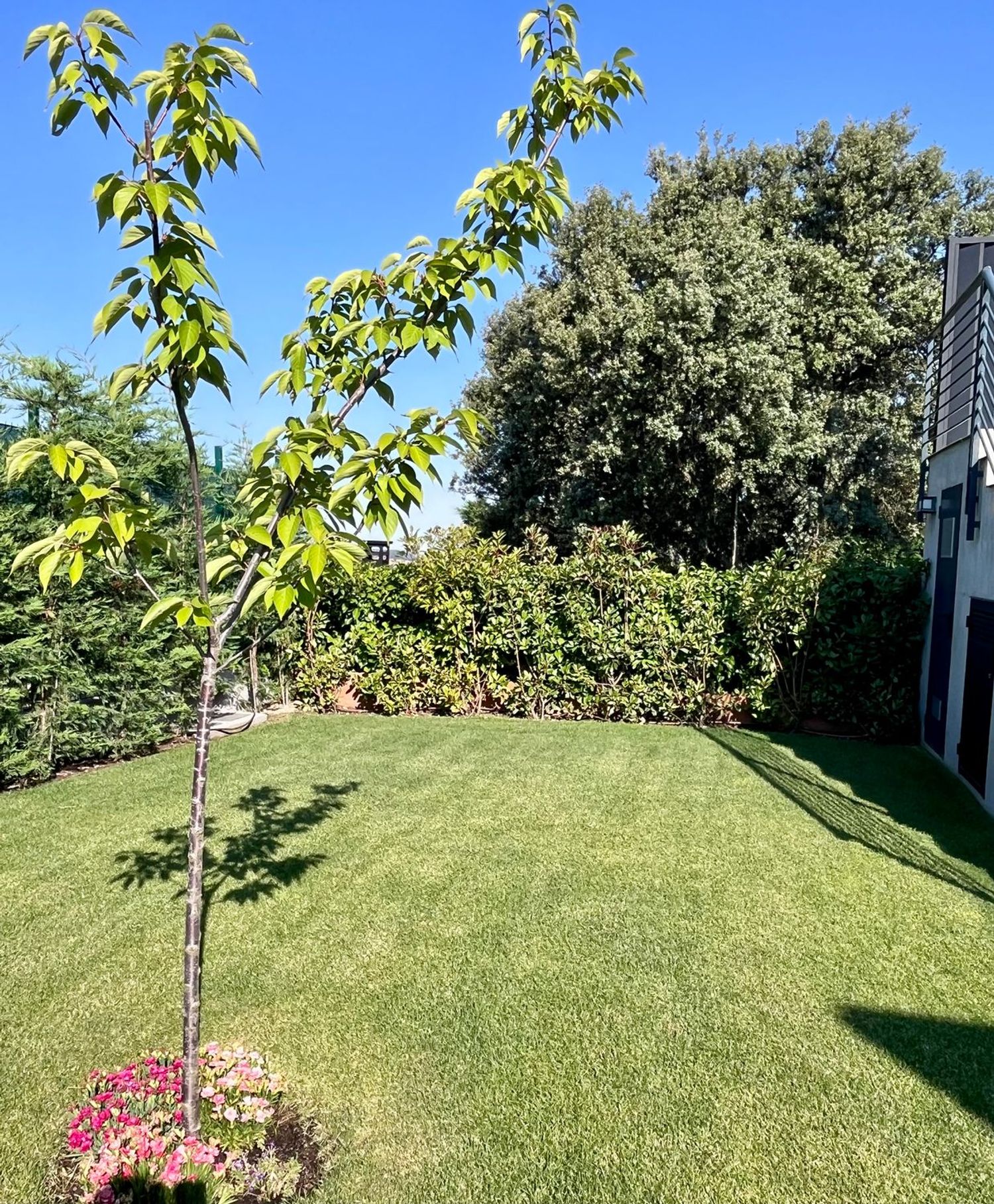 Chalet pareado en Avenida de Venecia, 3, Los Ángeles de San Rafael, Los Ángeles de San Rafael - Foto 34