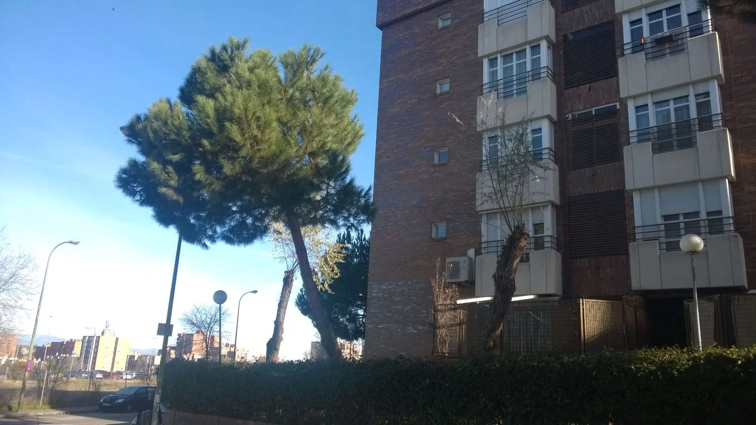 Piso en calle Cine, 43 - Foto 3