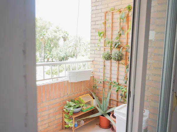 Piso en Calle Escritor Fernandez Delgado, 1, El Carmen - Foto 12