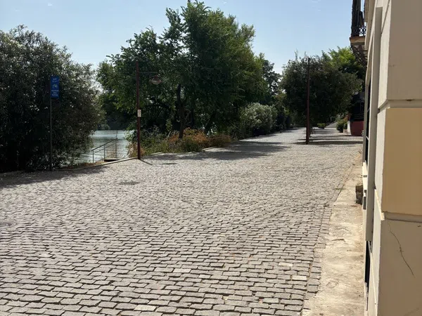 Piso en Calle Castilla, 82, Calle Betis - Pagés del Corro - Foto 12