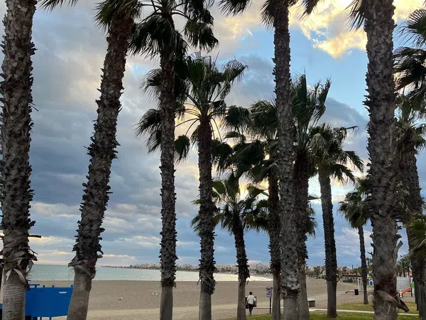 Piso en Avenida de Andalucía, 181, Caleta de Velez, Caleta de Velez - Foto 9