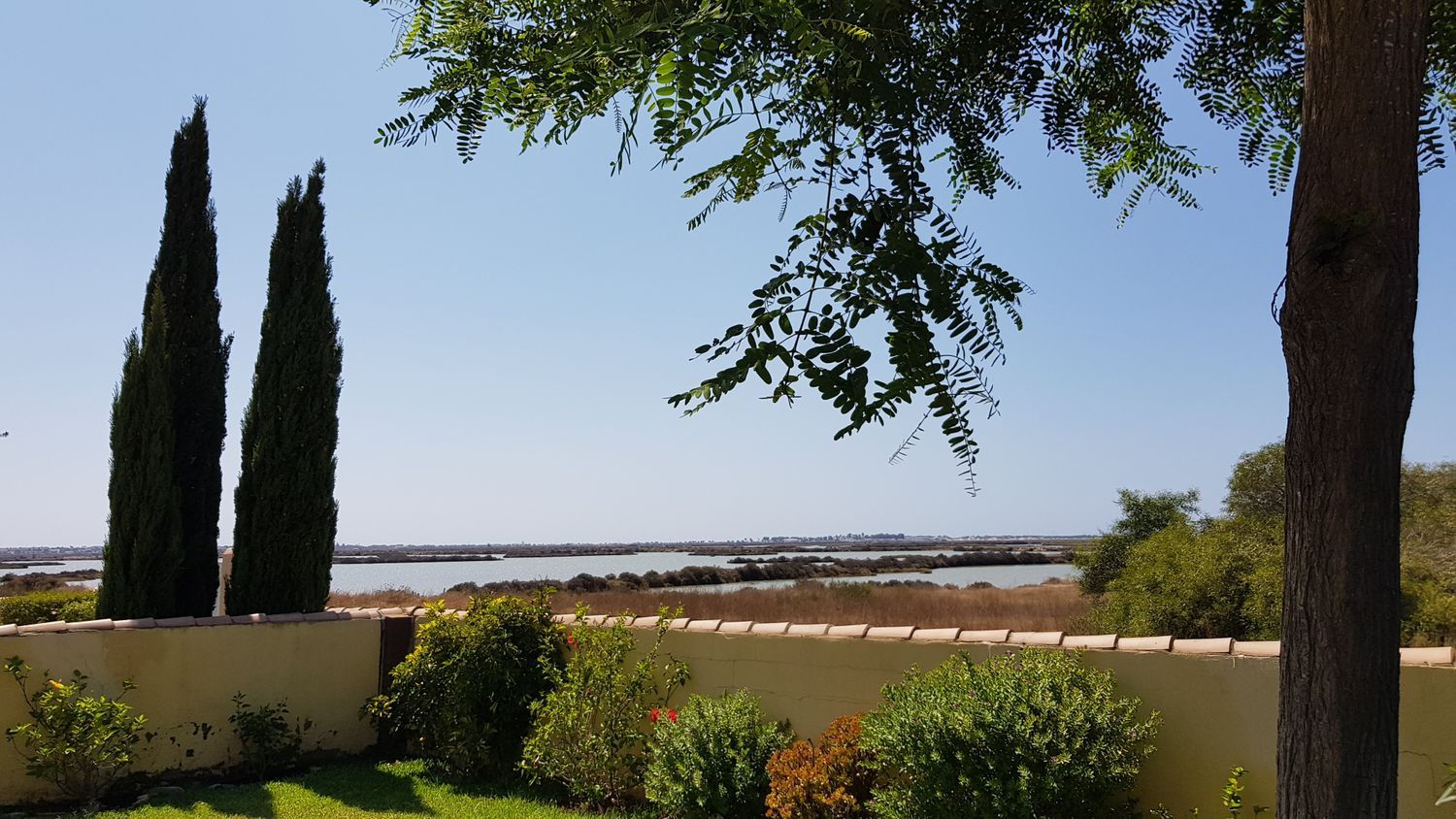 Casa independiente en calle Codorniz, 510 - Foto 9