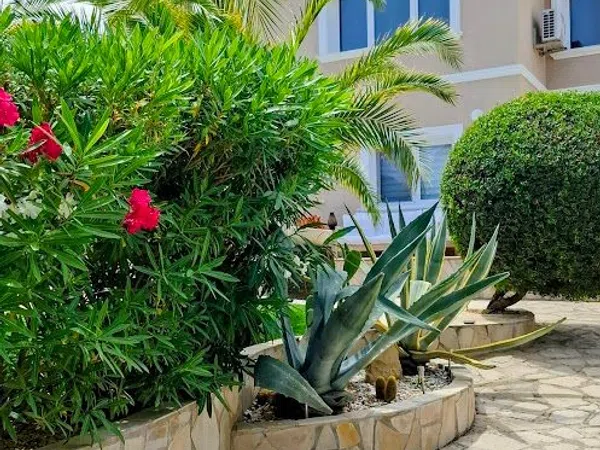 Casa o chalet independiente en Cometa-Carrió, Cometa-Carrió - Foto 14