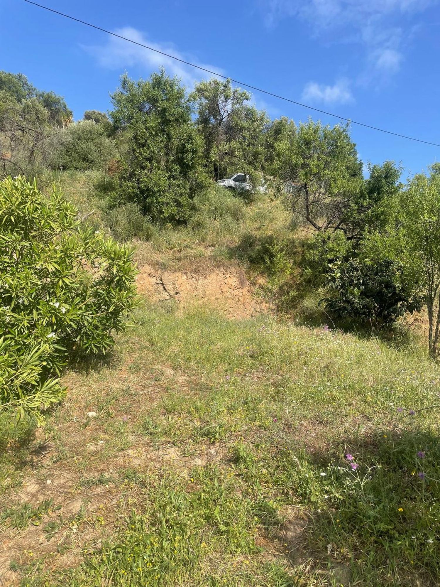 Finca rústica en Camino de Alozaina, 10 - Foto 6