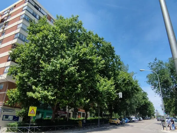 Piso en Barrio Peñagrande - Foto 2