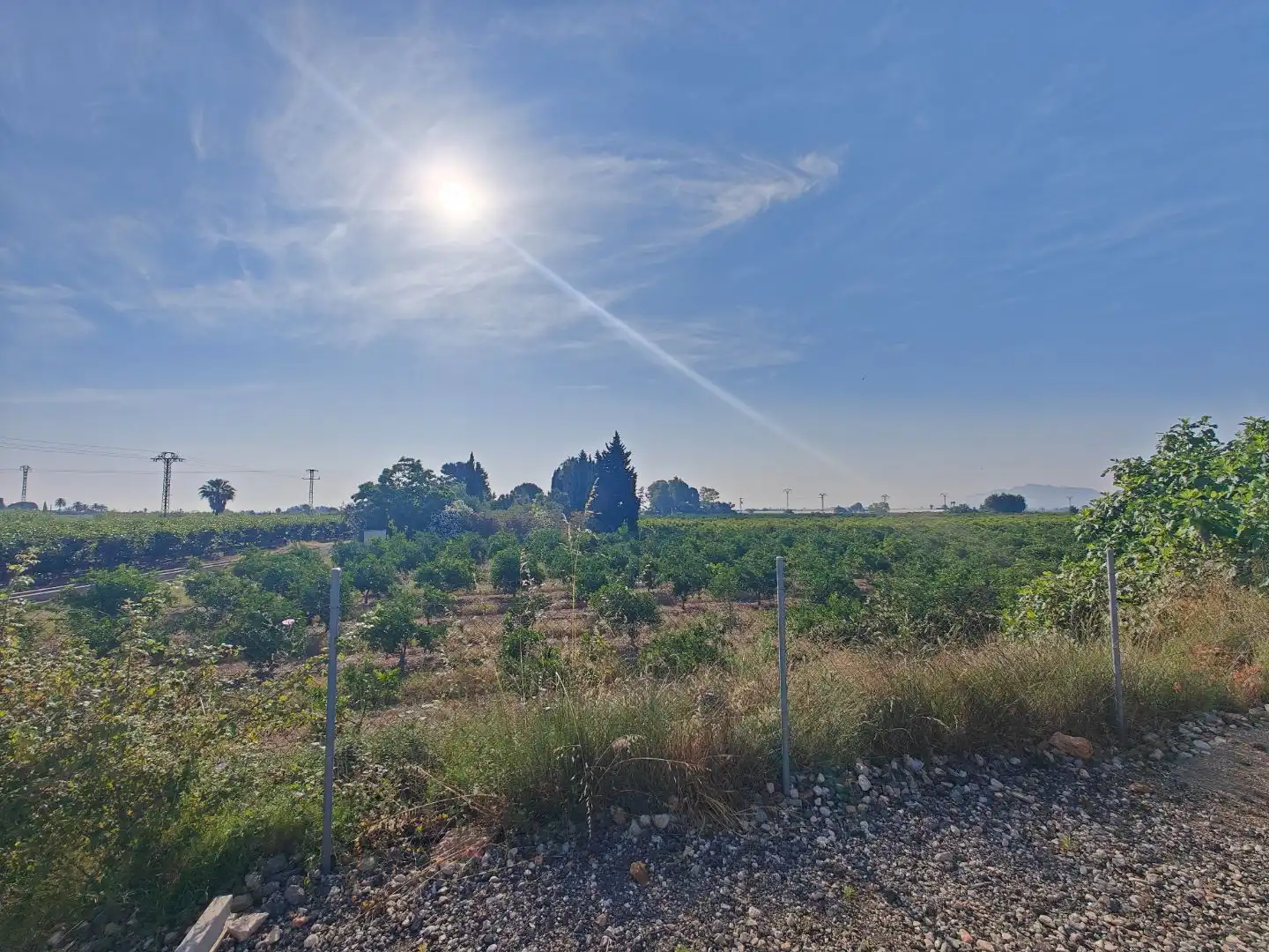 Finca rústica en Algemesí - Foto 5