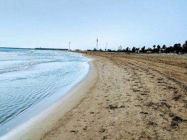 Planta baja en  Camí d'Artana 58 - Foto 4