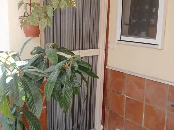 Piso en Plaza San Lorenzo del Puntal, 4, La Paz - Segunda Aguada - Loreto, La Paz - Segunda Aguada - Loreto - Foto 13