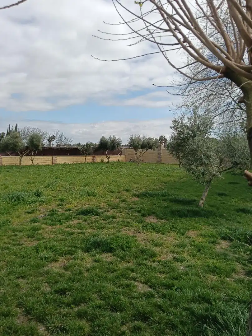Finca rústica en  Camino Alcornocal 361 - Foto 4